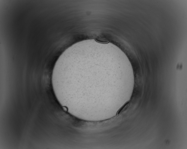 X0000102860037200809081316