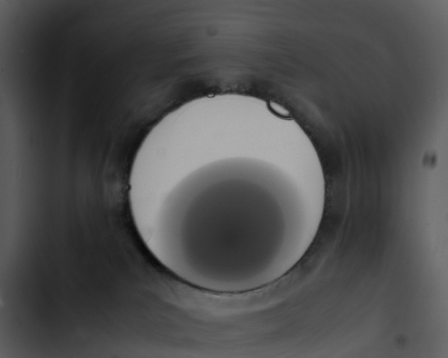 X0000102860039200809081316