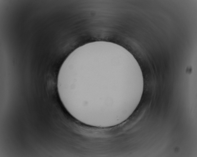 X0000102860040200809081316