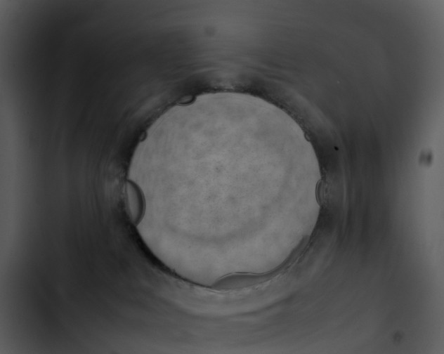 X0000102860043200809081316