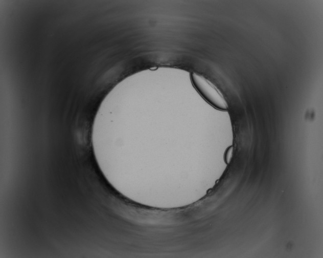 X0000102860044200809081316