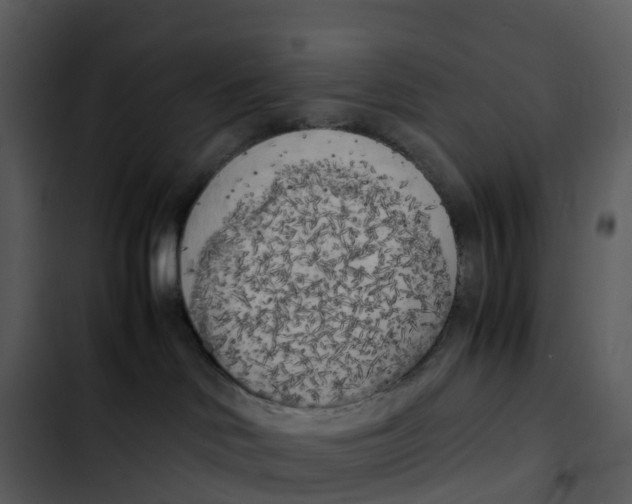 X0000102860046200809081316