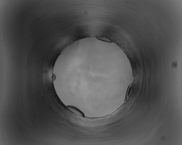 X0000102860047200809081316