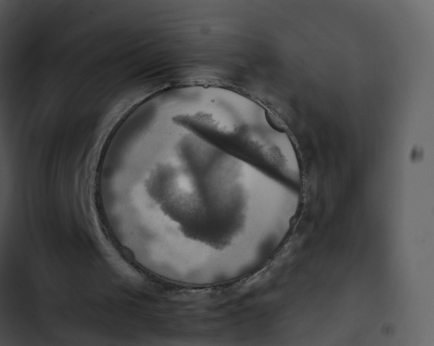 X0000102860049200809081315