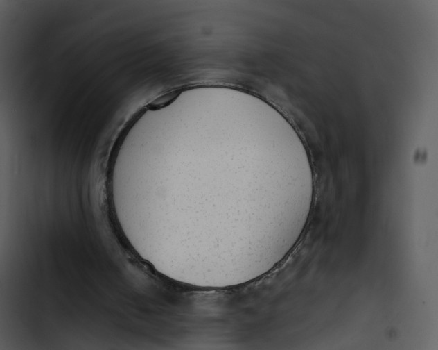 X0000102860050200809081315