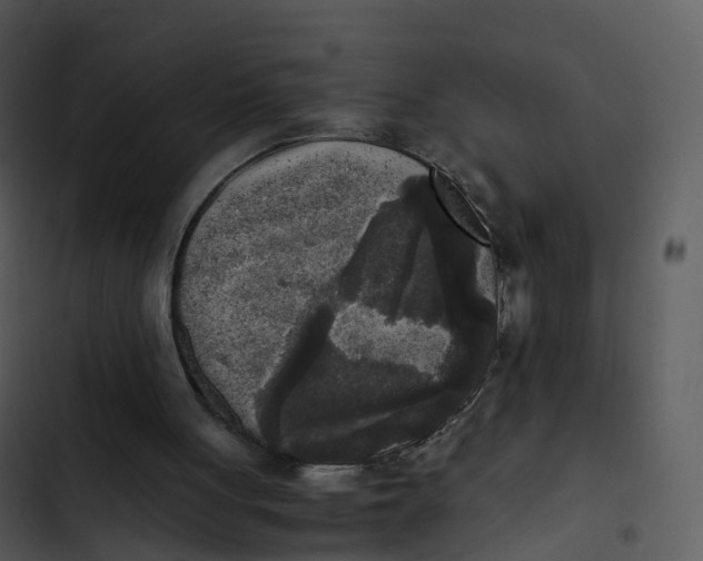 X0000102860051200809081315