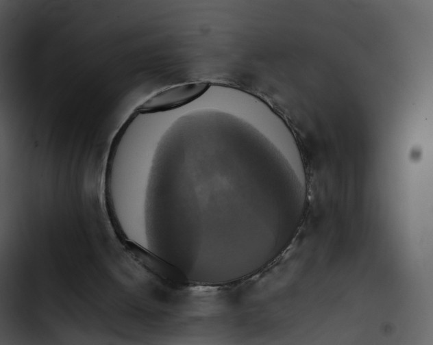 X0000102860052200809081315