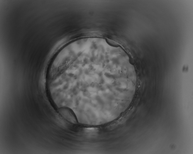 X0000102860053200809081315