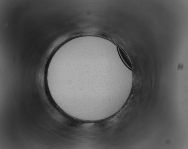 X0000102860054200809081315