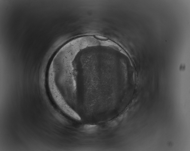 X0000102860055200809081315