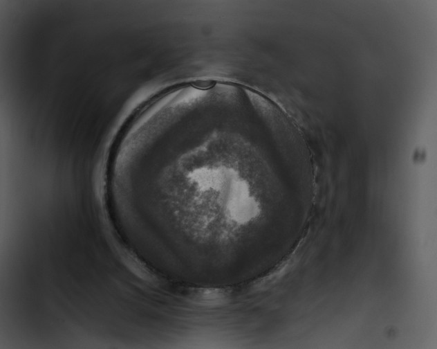 X0000102860056200809081315