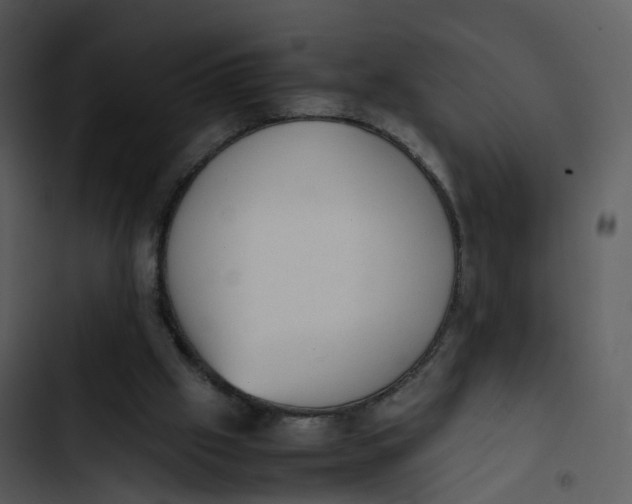 X0000102860057200809081315