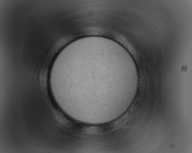 X0000102860058200809081315