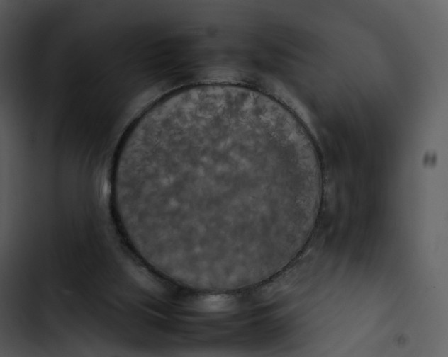 X0000102860059200809081315