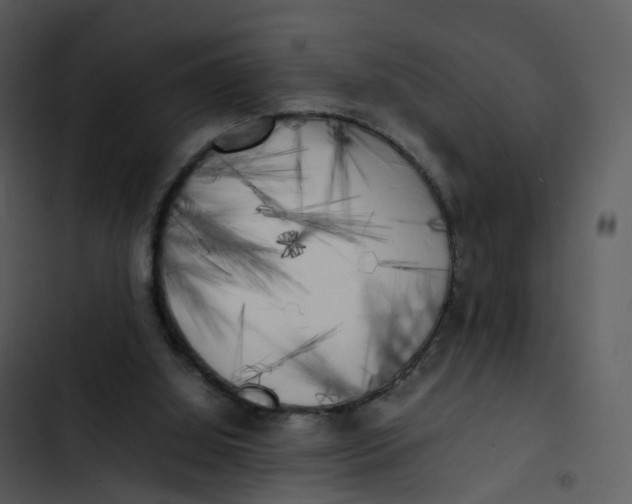 X0000102860060200809081315