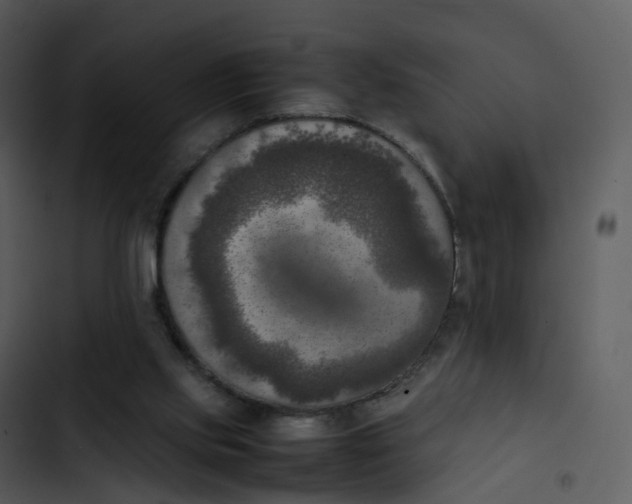 X0000102860061200809081315