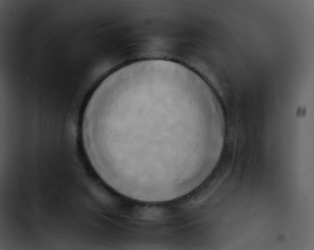 X0000102860063200809081315