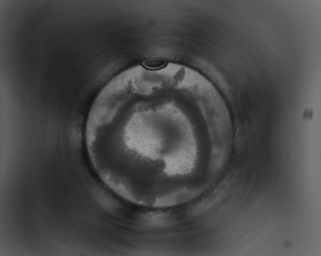 X0000102860065200809081316