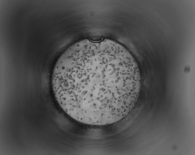 X0000102860066200809081316