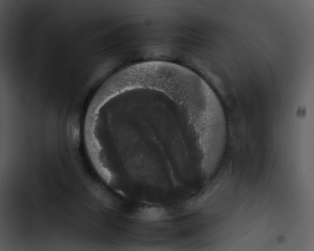 X0000102860067200809081316