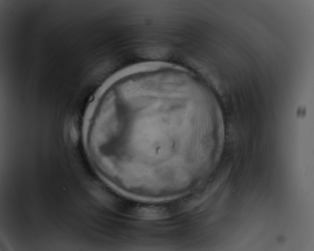 X0000102860069200809081316