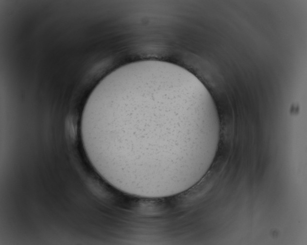 X0000102860070200809081316