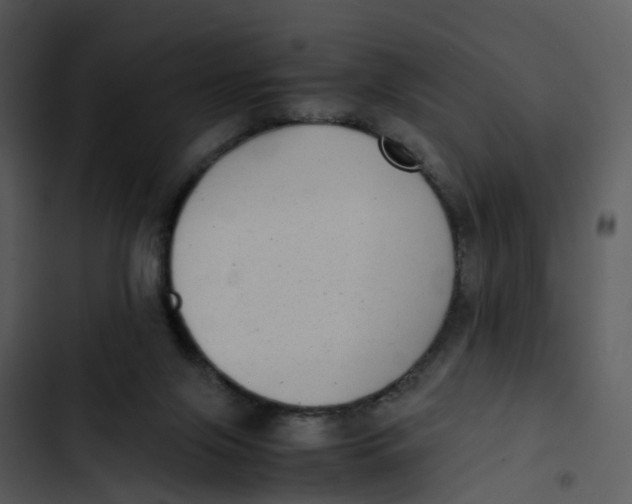 X0000102860071200809081316