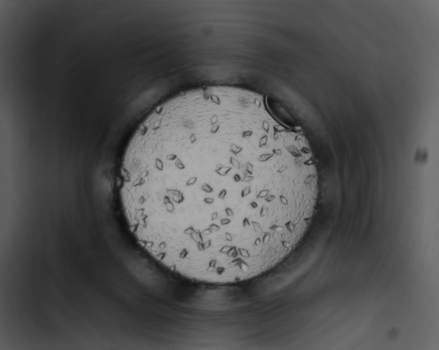 X0000102860072200809081316