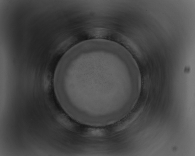 X0000102860073200809081316