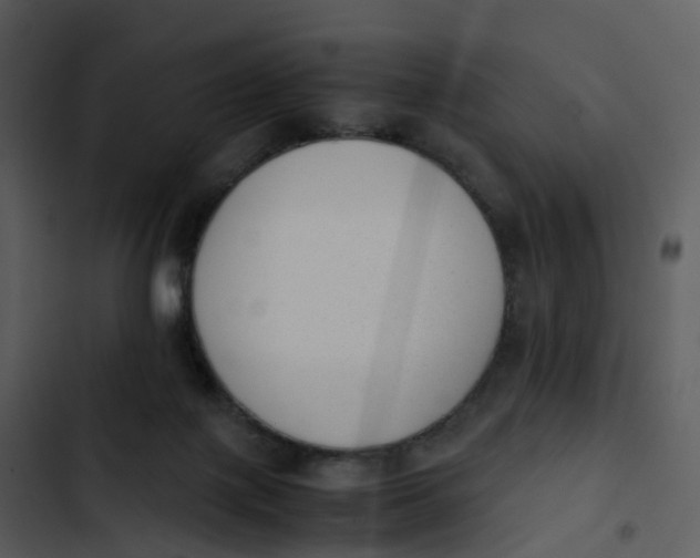 X0000102860075200809081316