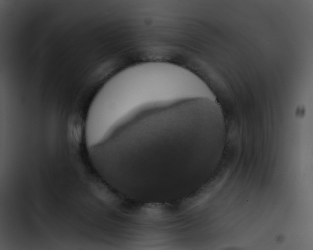 X0000102860076200809081316