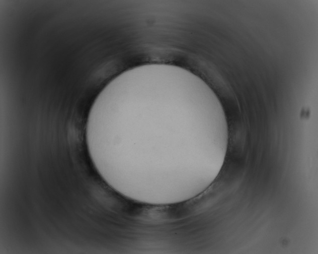 X0000102860078200809081316