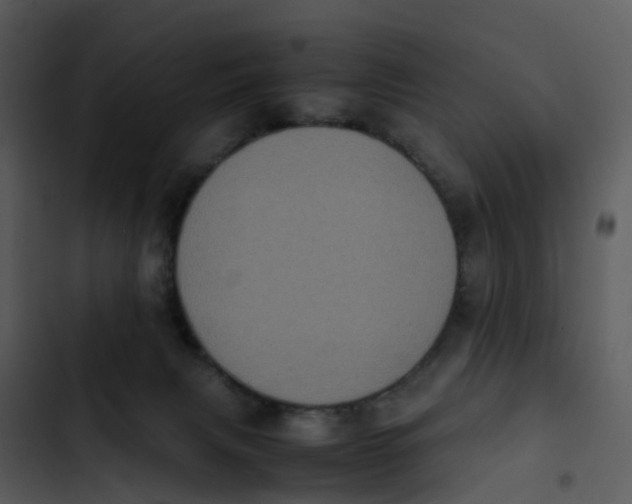 X0000102860079200809081316