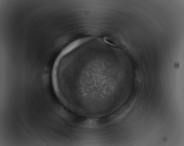 X0000102860080200809081316