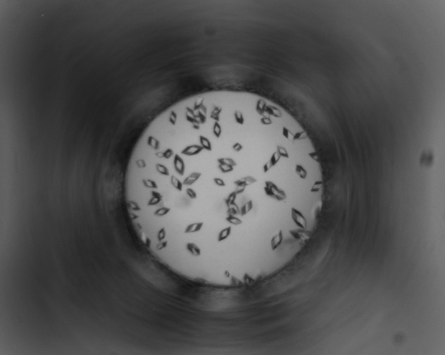 X0000102860081200809081316