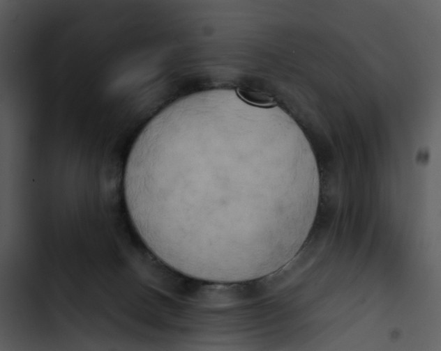 X0000102860082200809081316