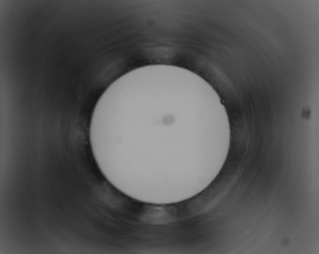 X0000102860083200809081316