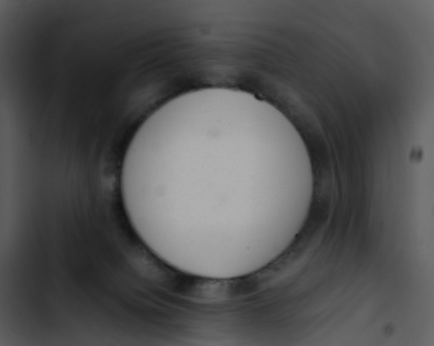 X0000102860084200809081316