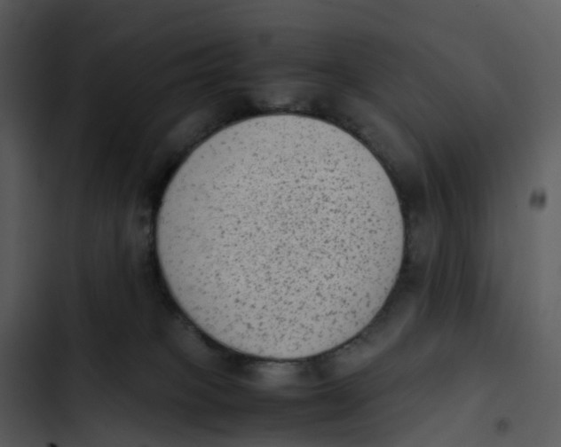 X0000102860085200809081316