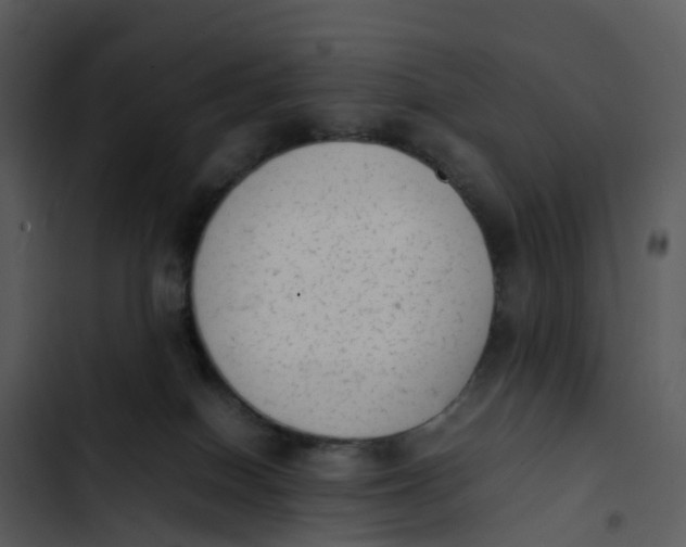 X0000102860086200809081316