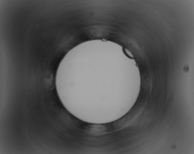 X0000102860087200809081316