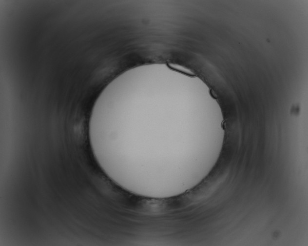 X0000102860088200809081316