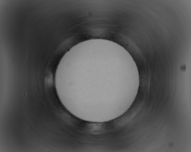 X0000102860089200809081316