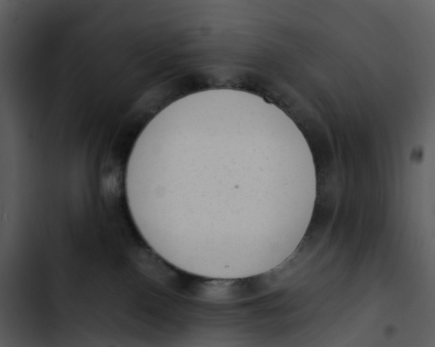 X0000102860090200809081316