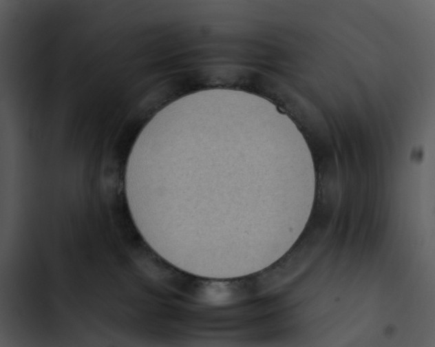 X0000102860091200809081316