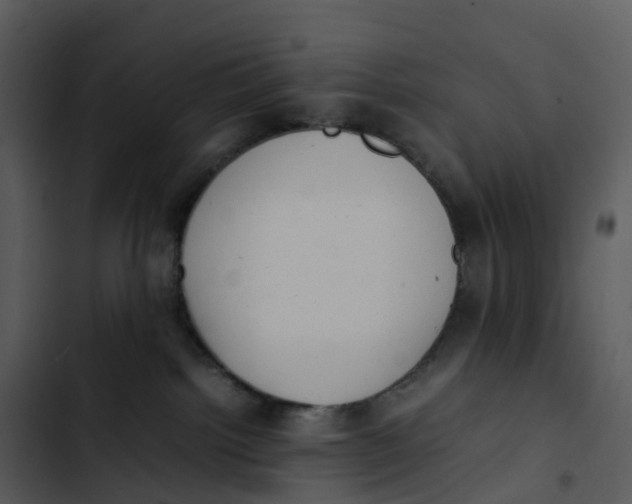 X0000102860092200809081316