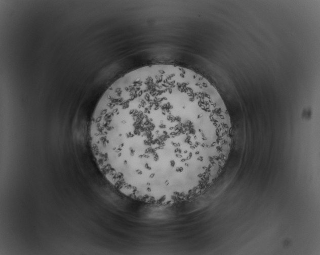 X0000102860093200809081316