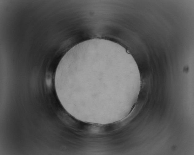 X0000102860094200809081316