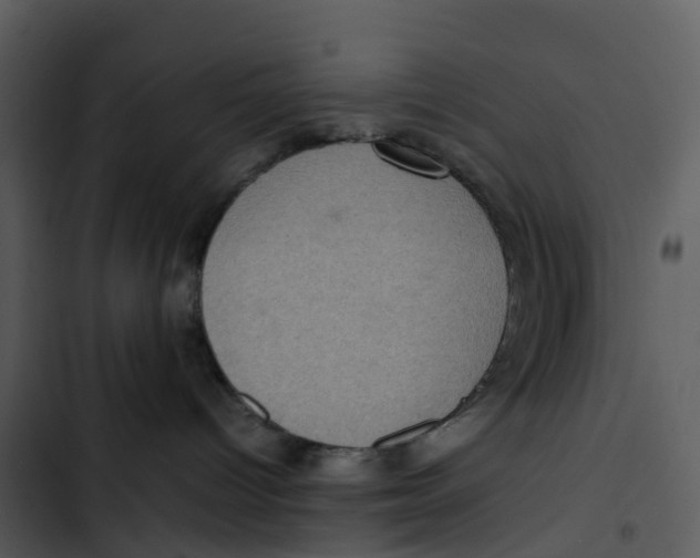 X0000102860096200809081316