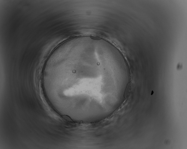 X0000102860097200809081315